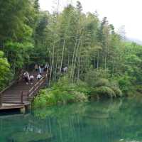 Nanshan Bamboo Sea - Liyang - Changzhou 