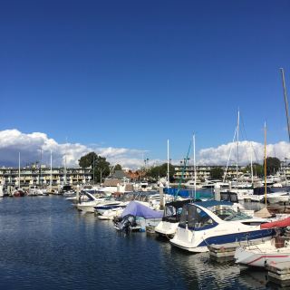 The beautiful port city of "San Diego"