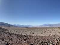 Alive in Death Valley