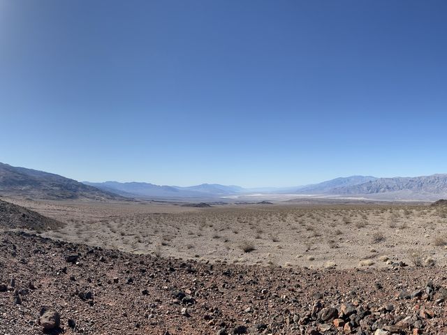 Alive in Death Valley