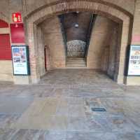 Bull Fighting Arena