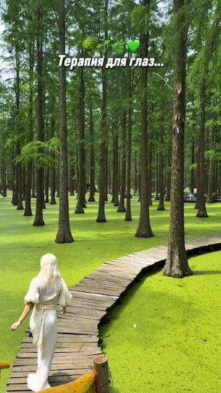 🌱 Green heaven on earth is in China