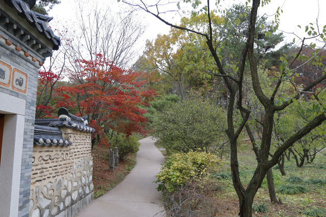 용인 호암미술관 산책하며 계절을 느껴요