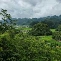 The Ten-Thousand Peak Forest