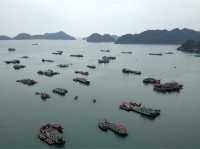 Beautiful floating Village @Cat Ba 