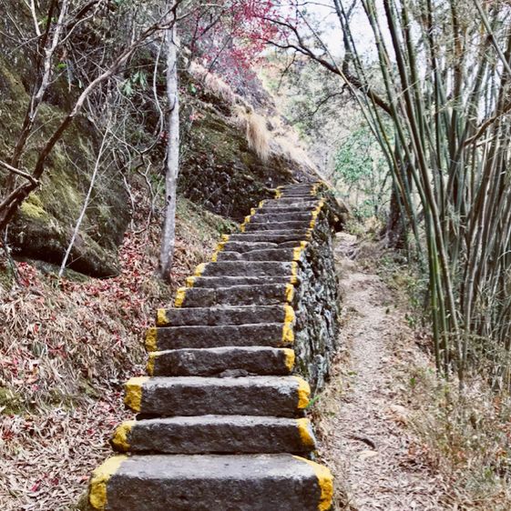 Great King Peak, Wuyi Mountain 