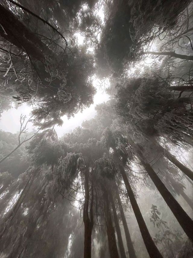 Winter Hike in Chengdu's Nanbao Mountain