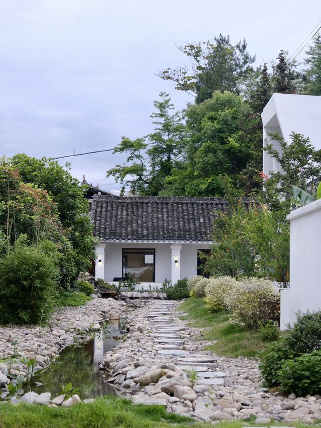 In the deep mountains of Nanxi River, slow down and take a break from your mood with some apricots.