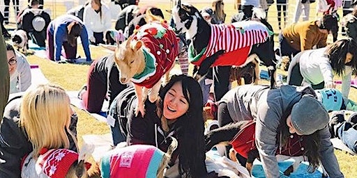 Goat Yoga @ Toyota Music Factory! | Toyota Music Factory