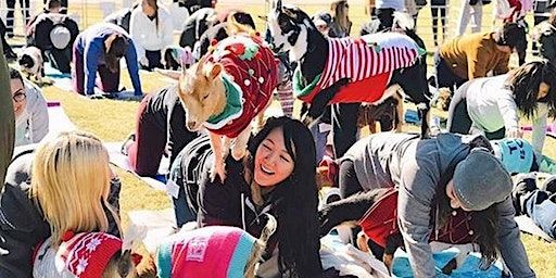 Goat Yoga @ Toyota Music Factory! | Toyota Music Factory