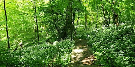 Autumn Challenge 2024 Walk 3 Grindleforge and Kemberton Mill 12.5 miles | YHA Ironbridge Coalport