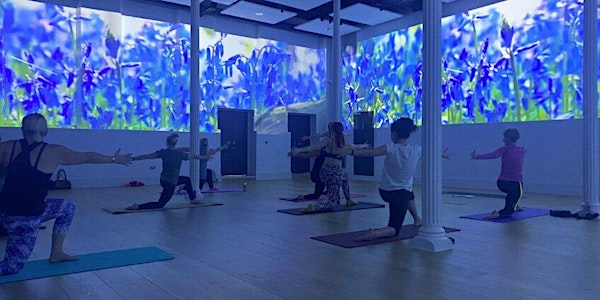 Immersive Yoga - single ticket June - July 2025 | Northampton Museum & Art Gallery
