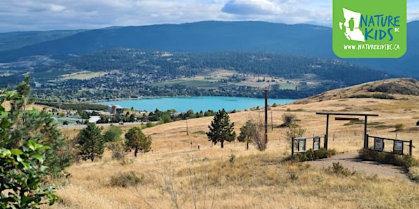 Explore the Grasslands! | Allan Brooks Nature Centre