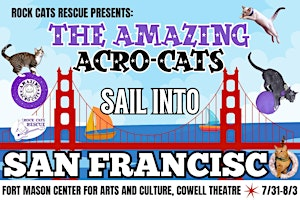 The Amazing Acro-Cats Sail Into  San Francisco - Saturday 2PM | The Cowell Theater at Pier 2