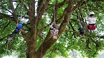 Timber Tree Climbing | Tolt-MacDonald Park & Campground