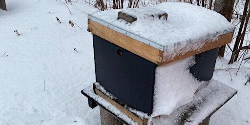 Beekeeping for Beginners – Fall/Winter Workshop 4 of 4 | 312 Dundas St E suite 203
