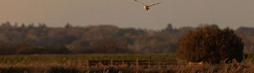 Autumn on the Marshes Photography Course (VCC2806) | Carlton Marshes Nature Reserve & Visitor Centre