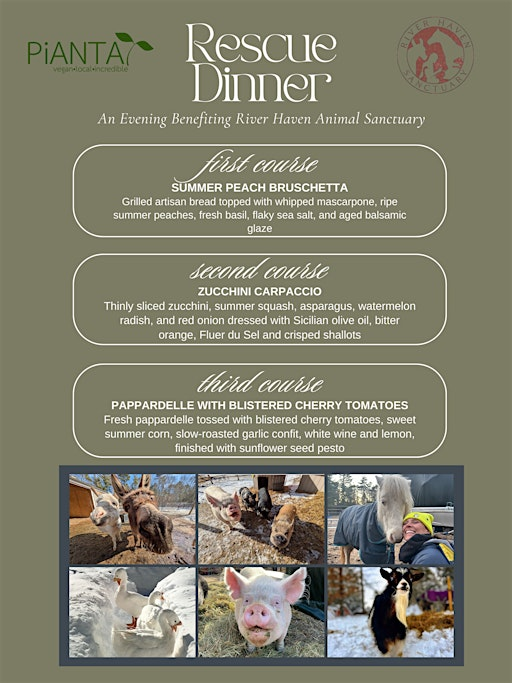 A Three Course Dinner Supporting a Rare Animal Rescue Opportunity | PiANTA Vegan Restaurant