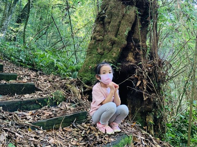 雲林秘境-嘉南雲峰南登山口步道