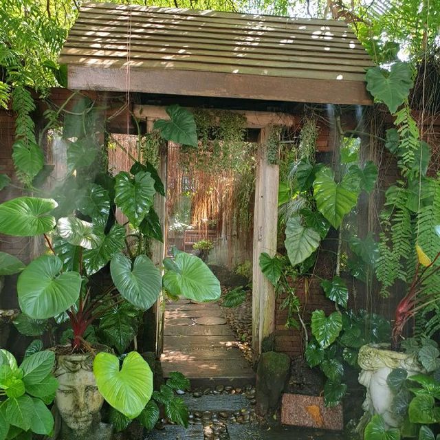 Oasis Café ป่ากลางเมือง พิษณุโลก