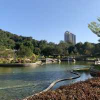 鬧中取靜坑口文曲里公園