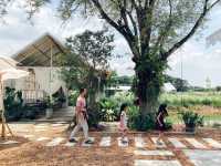 คาเฟ่ในสวน Pin Farm&Cafe @ขอนแก่น