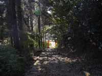 洞窟の中の神社、鵜戸神宮