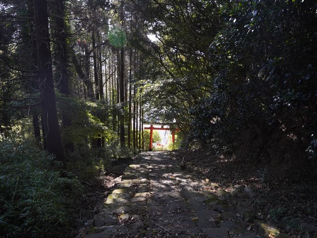 洞窟の中の神社、鵜戸神宮