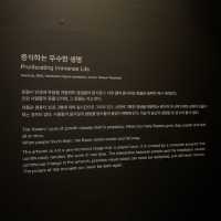 팀랩전시회 : 무수한 꽃이 피어나는 DDP
