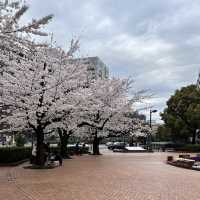 【東京】東京のど真ん中にある自然豊かな公園