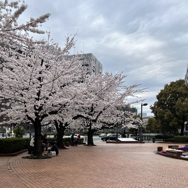 【東京】東京のど真ん中にある自然豊かな公園