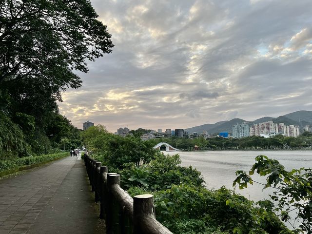 大湖公園散步去｜還可以看到好多的鳥、鵝、鴨😄