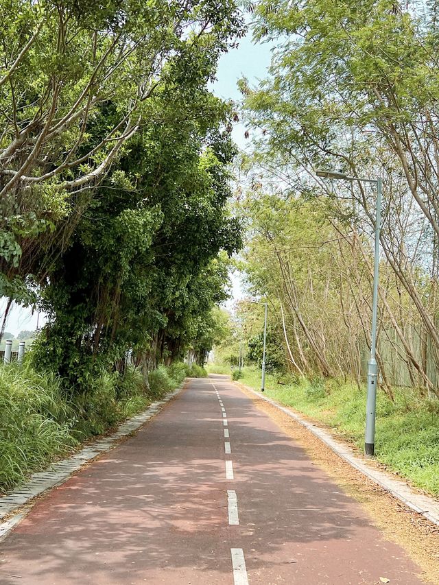 春季旅行 |天水圍至上水單車心得
