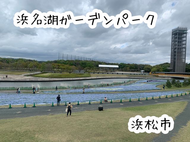 #浜松市　#浜名湖ガーデンパーク　#花畑　#ラッキーわんこ旅