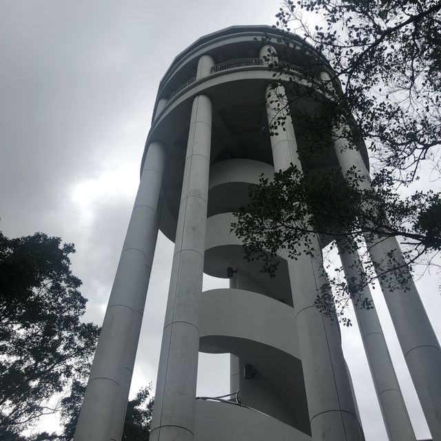 高高在上飽覽中環景色