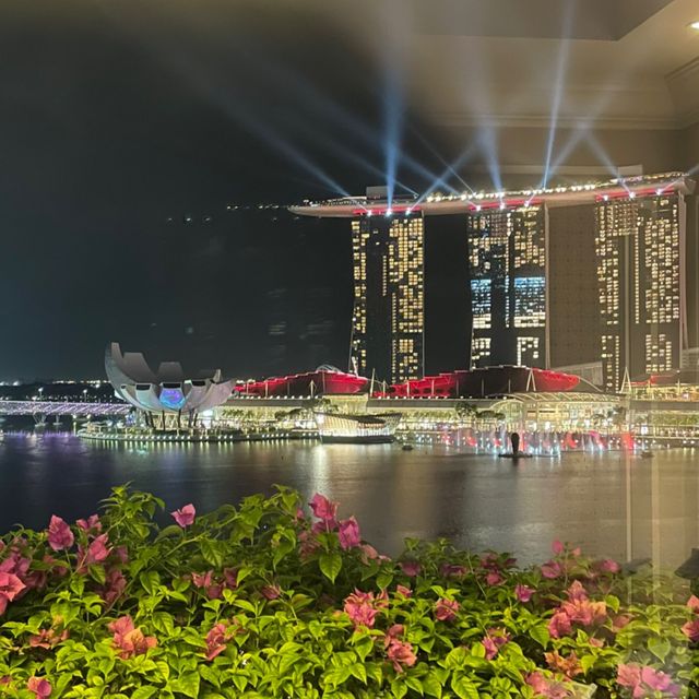 MBS Lights show 