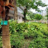 東九龍市中心休憩公園⚘️🌱🌴🌳