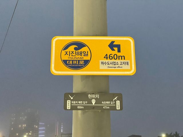 속초 외웅치해변 야경