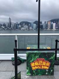 🦖恐龍出沒注意⚠️但係大人細路都鍾意😂