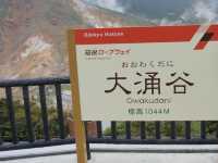 箱根必去知名景點🤩➡️大涌谷