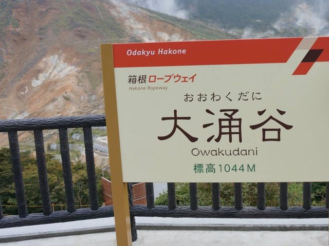 箱根必去知名景點🤩➡️大涌谷