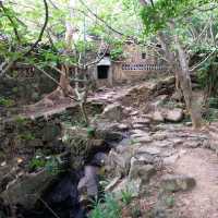 初级行山路線🚶‍♀️🚶‍♀️🚶‍♀️