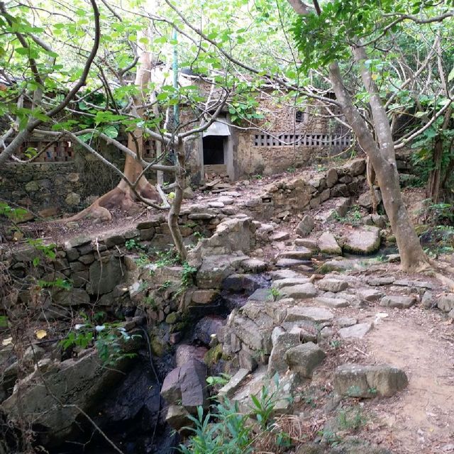 初级行山路線🚶‍♀️🚶‍♀️🚶‍♀️