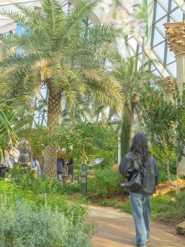 비 오는 날 즐기기 좋은 실내데이트, 서울식물원🌿