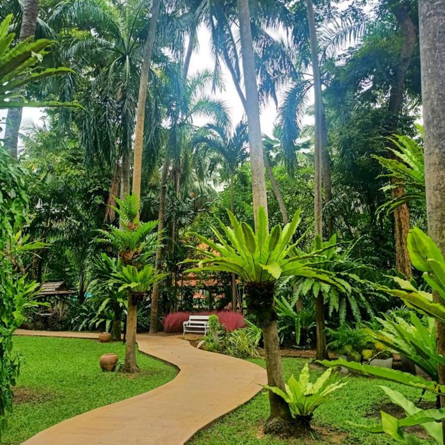 AVANI โรงแรมในป่าใหญ่