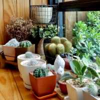 The Village Farm To Cafe
