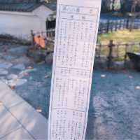 修善寺竹林の小怪【静岡県/修善寺 】