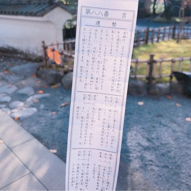修善寺竹林の小怪【静岡県/修善寺 】