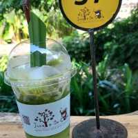 Jungle De Cafe’ buffalo island " เชียงใหม่