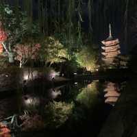 【京都】東寺のライトアップ♡